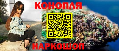 индика Аргун