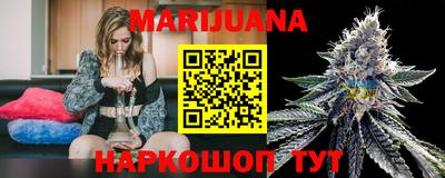 индика Аргун
