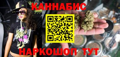индика Аргун