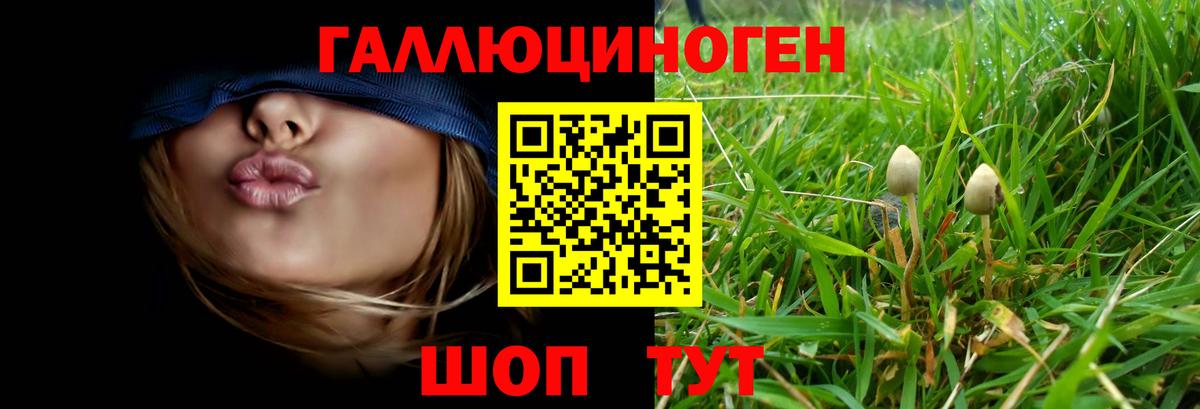 Ачинск  Галлюциногенные грибы Cubensis  Вход с VPN  Псилоцибиновые грибы Psilocybe 